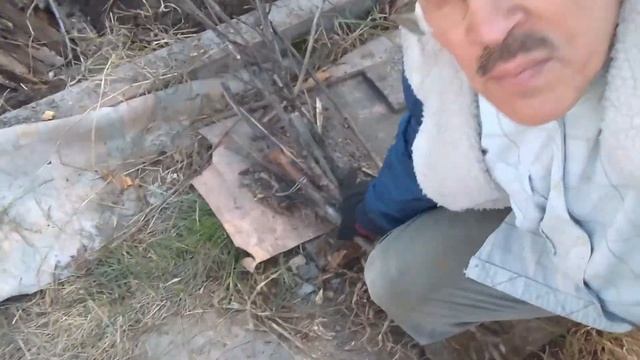 Грядка Зеппа Хольцера(Sepp Holzer's Permaculture)