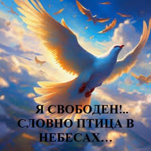 Я СВОБОДЕН!.. СЛОВНО ПТИЦА В НЕБЕСАХ... видео (из серии "СТОКГОЛЬМСКИЙ СИНДРОМ")