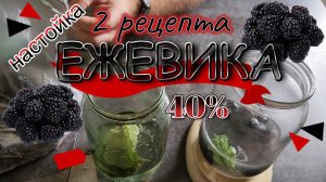 Крепкие настойки из ежевики