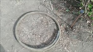 Подпорка для кустарников, подвязка кустов смородины | Пионы | GRIGORIY