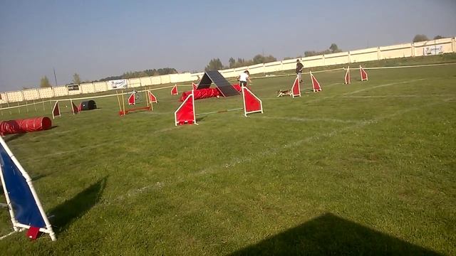 Скрипица Дарья А 3 смотреть онлайн