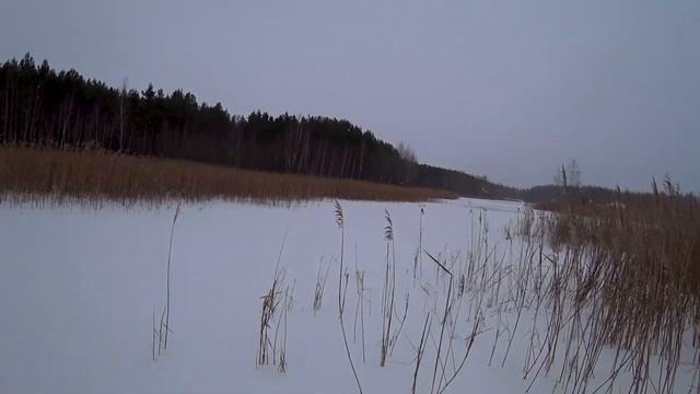 Лесное озеро.Рыбалка в сказочном месте смотреть онлайн