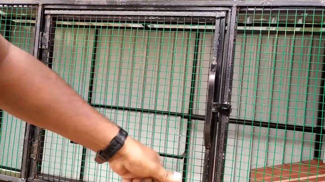 Chicken Cage Design for Home | How Much Space for 50 Chickens смотреть онлайн