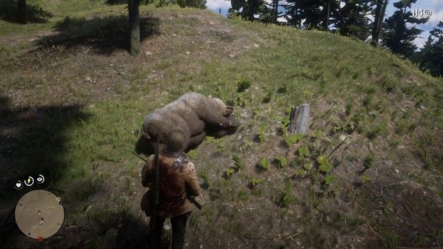 RDR 2 - Grizzly Attack After Bagging Pristine Deer смотреть онлайн