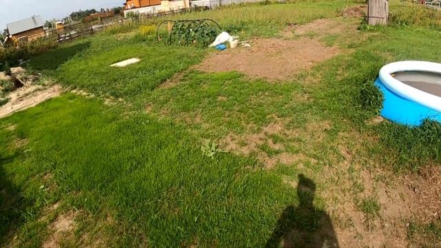 Собираем урожай на даче, лук, огурцы смотреть онлайн