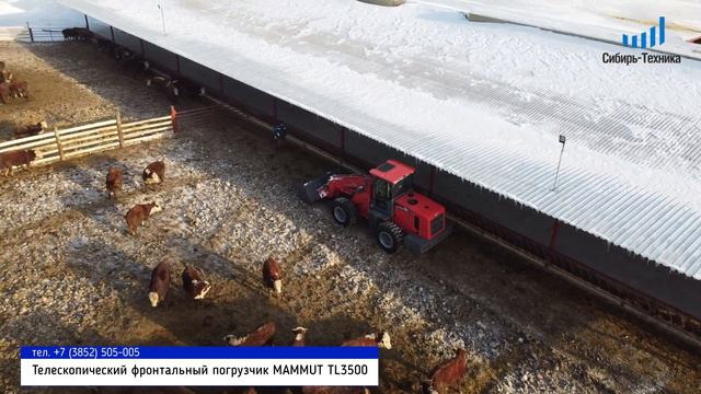 Телескопический погрузчик Mammut TL3500 / Сибирь-Техника