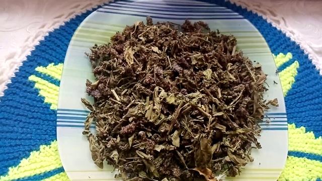 Вероника лекарственная. Лечим сахарный диабет и подагру.