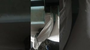 Калибрование семян подсолнечника. Очистка на пектусе. У всех карантин,а в с.х. работа кипит