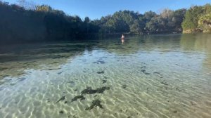 🔴 ЗАМОРОЗИЛА парня 🔴 знаменитый Руслан ВЕРИН полюбил Флориду ВОСХИЩЕНИЕ 06.12.2020