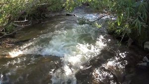 Ульяновский пруд