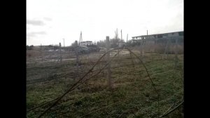 Осенняя обработка винограда медным купоросом