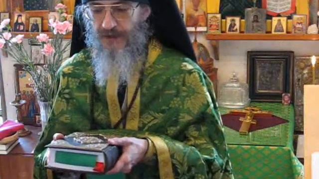 Проповедь в неделю Ваий 20 апреля 2008 г. смотреть онлайн