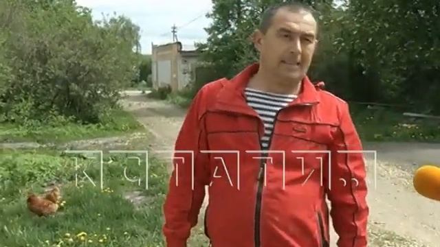 Дрессированная птица - курица выполняет команды и ходит в магазин