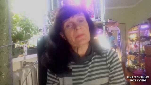 Экоплант. Повышение калия и магния в почве, уменьшения кислотности, урожайности и яркости цветения.