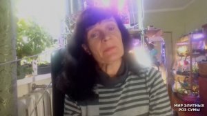 Экоплант. Повышение калия и магния в почве, уменьшения кислотности, урожайности и яркости цветения.