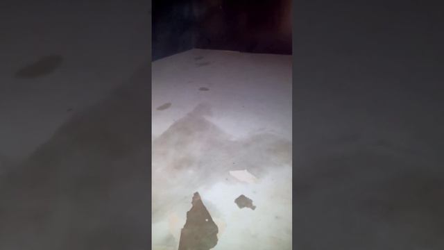 Отслоение полимерного пола от бетона