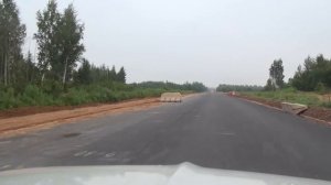 Skirino Скирино Velebitsy Велебицы Pesochki Песочки P56 Russia Россия 31.7.2016 #1268