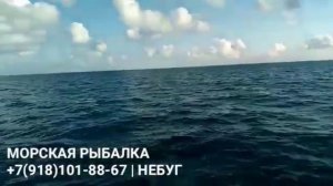 Морская Рыбалка в Небуге 89181018867 (+WhatsApp)