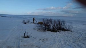 Мотособака на рыбалке. Оз Ильмень.