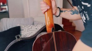 Alhambra Linea Pro review by GuitarGuru-Andy Paul