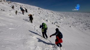 СМОТРИ, ПОКА НЕ УДАЛИЛИ! НАЙДЕН СНЕЖНЫЙ ЧЕЛОВЕК! ЙЕТИ.  РЕАЛЬНЫЕ КАДРЫ СНЯТЫЕ НА КАМЕРУ. СЕНСАЦИЯ!