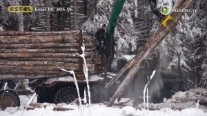 Погрузка леса манипулятором Essel EC80S-96
