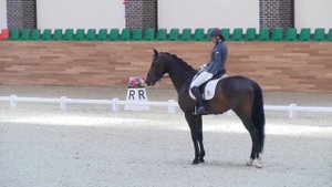 13.05.2018 CDI YH. Езда для лошадей 4 лет. Jewel Star 75,800 %