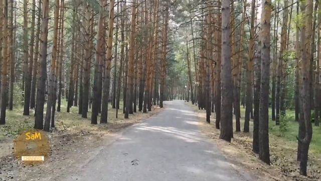 Санаторий Коммунальник. г.Омск смотреть онлайн