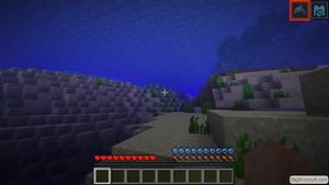 Dolphin's Grace in Minecraft Java Edition