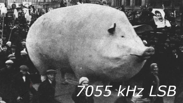 7055 kHz смотреть онлайн