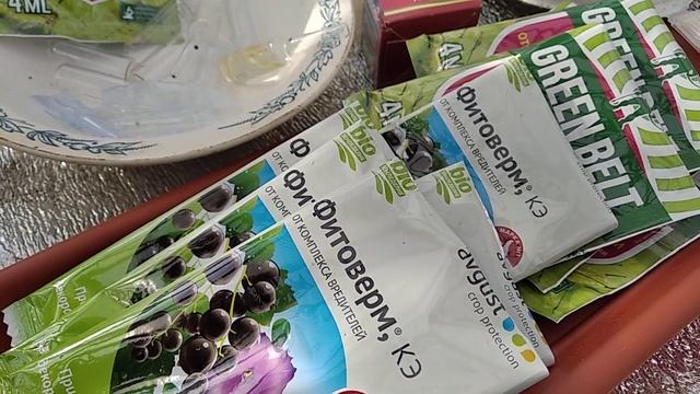 Препараты от вредителей в теплице / Травление паутинного клеща осенью / Обработка теплицы в СИЗ смотреть онлайн