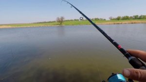 Ловля карася на Whiskas фидером с убийца карася! Рыбе это нравится! Вискас против пенопласта!