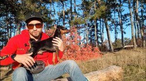 ЦВЕРГПИНЧЕР. ЛИЧНЫЙ БЛОГ | ПРИКЛЮЧЕНИЯ ГЕРОЯ В КРЫМУ!