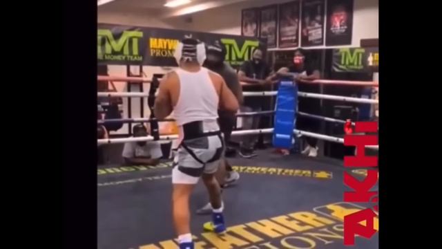 Gervonta Davis Vs Frank Martin Fight NEXT & PitBull Vs Edwin De Los Santos On The Undercard On PPV