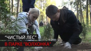 Акция "Чистый лес" прошла в парке "Волхонка"