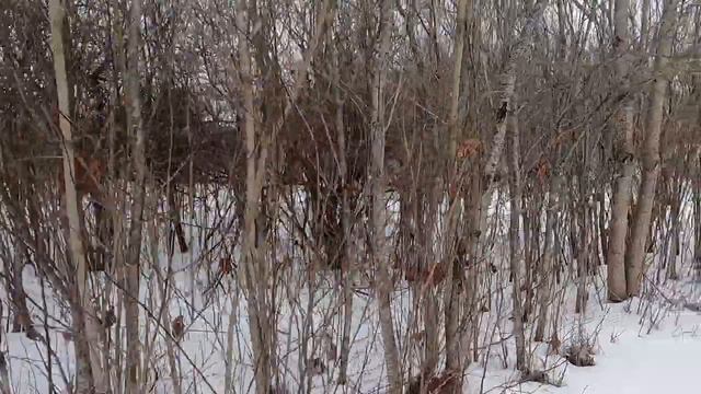 Старый домик, под снос или восстановить. Обзор дома в деревне возле озера.