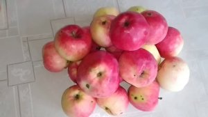 ☼Яблоня-Бессемянка Мичурина.