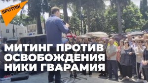 В столице Грузии прошла акция против освобождения Ники Гварамия