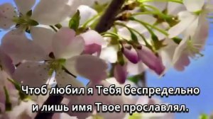 Всем умом Тебя, всем помышленьем