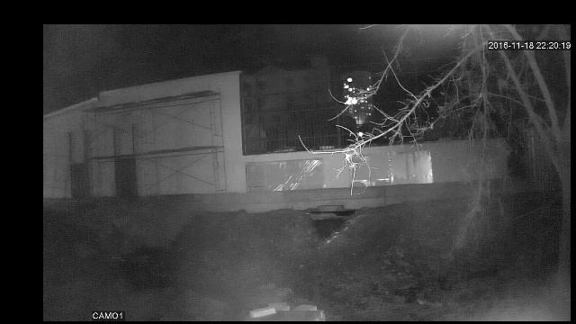 Прямая трансляция пользователя Пензенский зоопарк смотреть онлайн