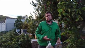 Инвертированный сироп для пчёл или Сахарный сироп? Зимовка на меду или на сиропах