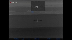 Ночная охота на волка с CZ-527, тепловизионный прицел Pulsar. Пришла пара.