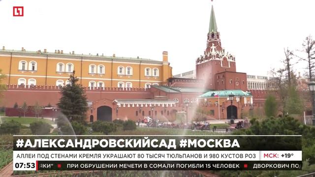 #АЛЕКСАНДРОВСКИЙСАД  #МОСКВА