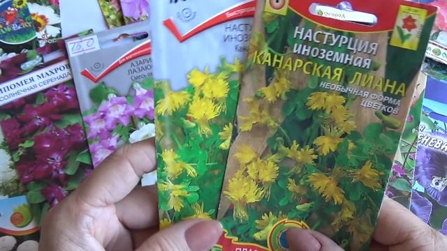 Вьющиеся однолетние растения смотреть онлайн