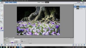 Adobe Photoshop Elements 13 Tutorial - Teil 8