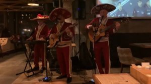 La Camisa Negra | Cover