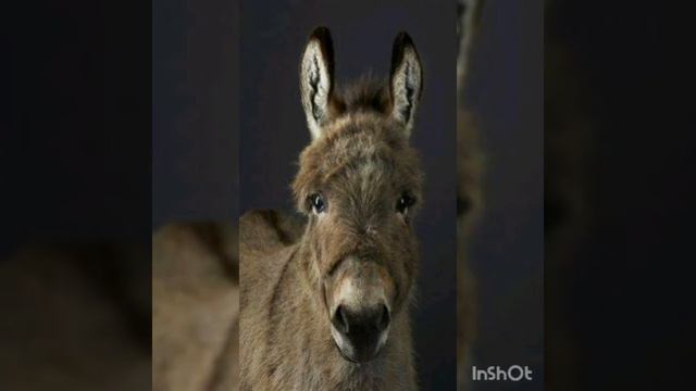 Клип "Через БОЛЬ переступая" 2 часть 🔥 (А в сумме это называется мгновеньем!) смотреть онлайн