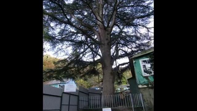 Джанхот и Прасковеевка (ноябрь 2018 года, Геленджик) смотреть онлайн