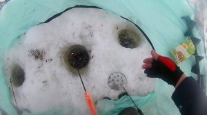 Ловля леща зимой! Река Уса!