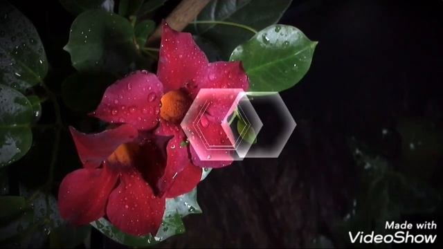 /// Мантра "А" "У" "М" смотреть онлайн